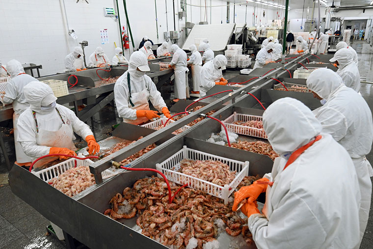 Patagonia Mariscos - Caso de éxito